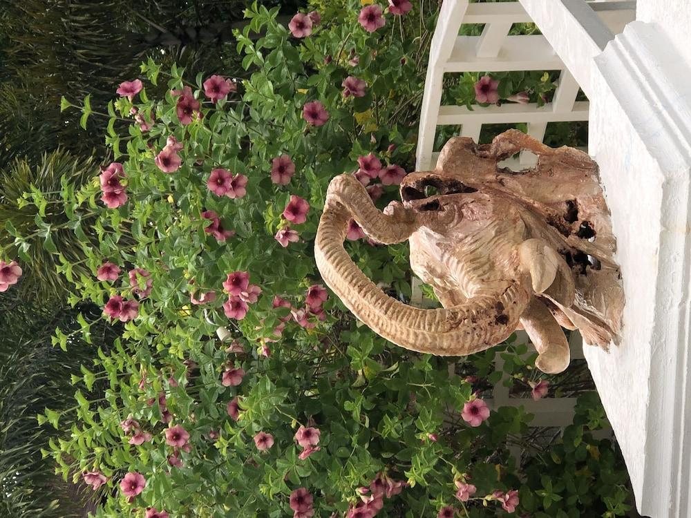 Hotel Coral Seas Garden