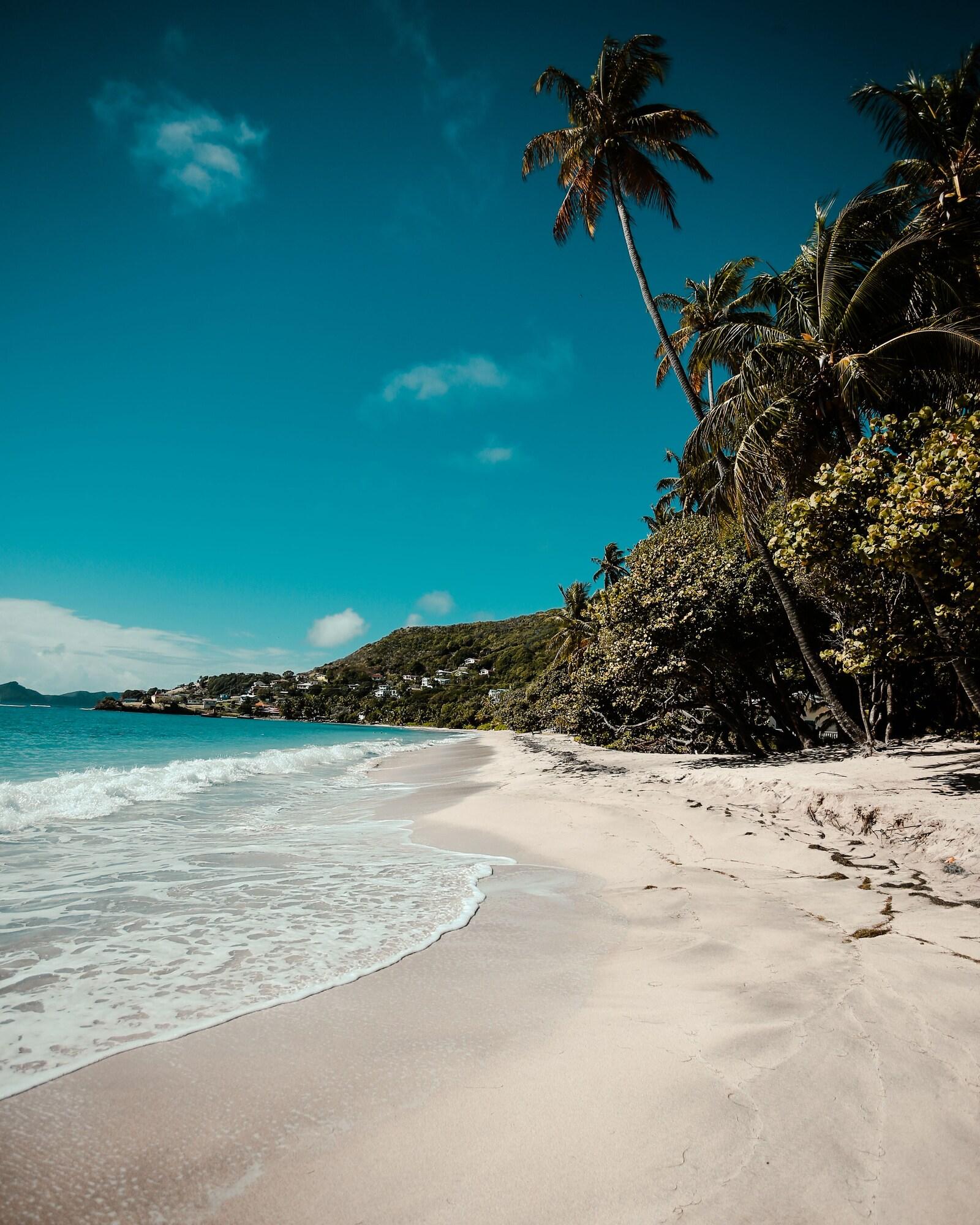Bequia Hotel Port Elizabeth