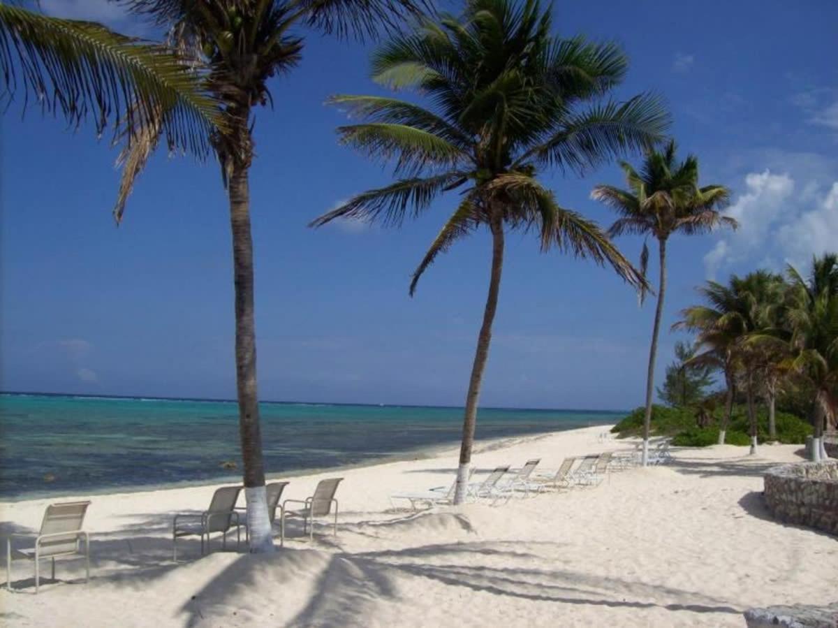 Living At Pappagallo Beachfront 22