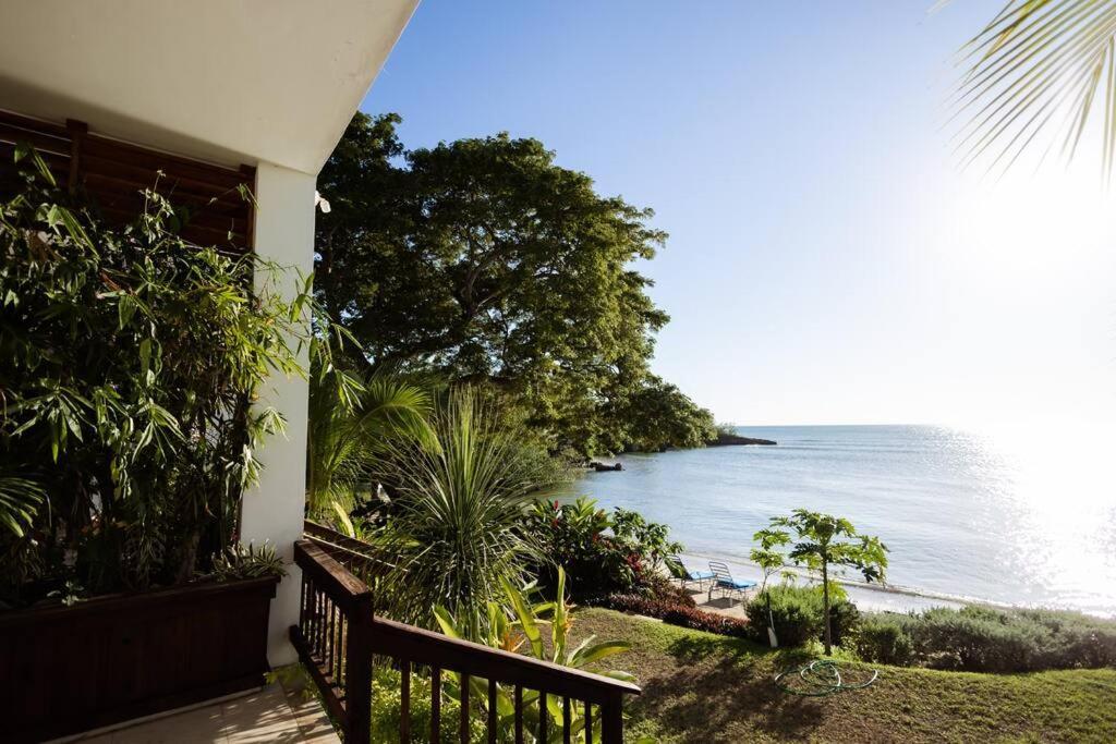 Ivy's Cove Side - Luxury
