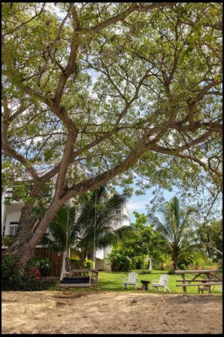 Pousada Ivy's Cove Side - Luxury *