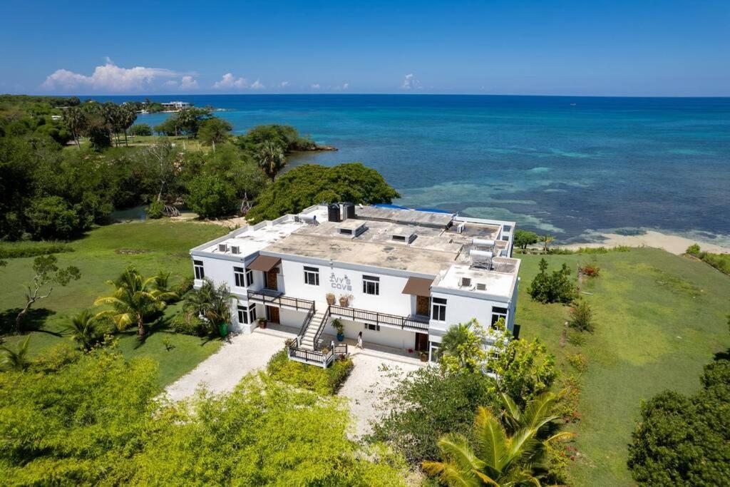 Ivy's Cove Side - Luxury