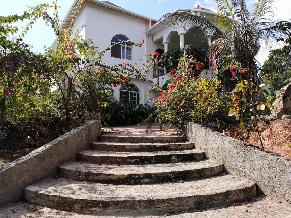Kokojo Homestay Black River