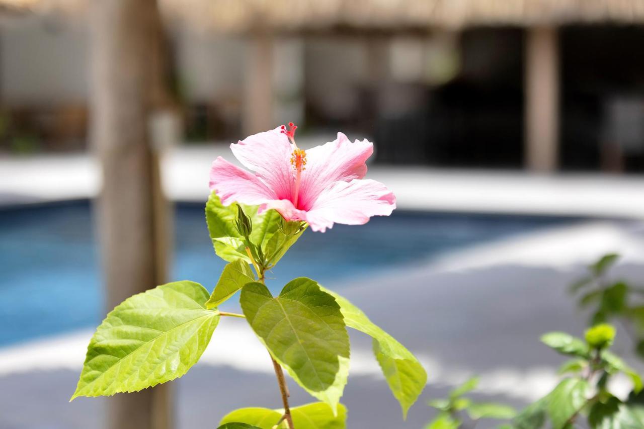 Belnem House Bonaire