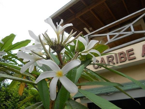 House Jardin Del Caribe Aparthotel