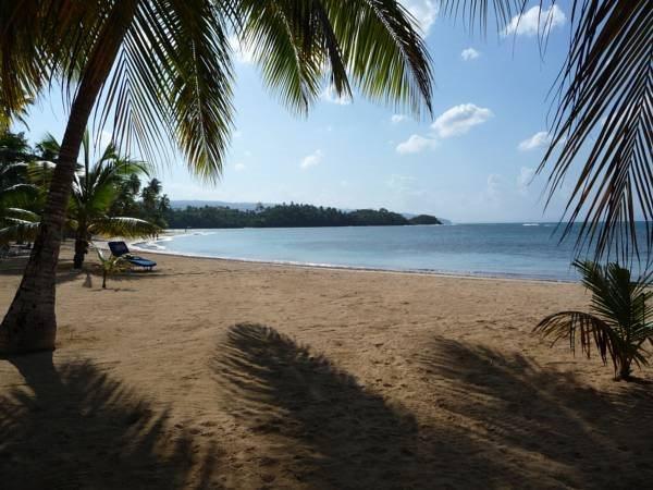House Jardin Del Caribe