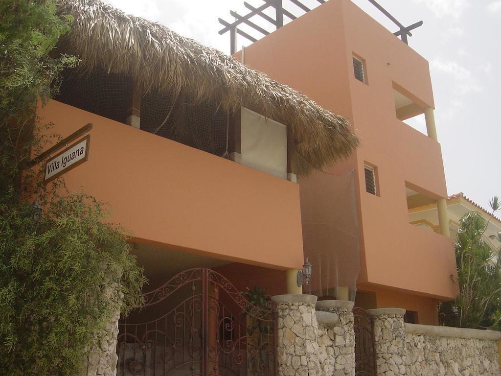 Iguana Bed & Breakfast