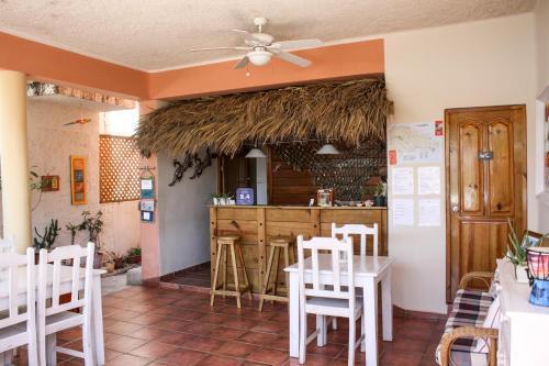 Iguana Bed & Breakfast