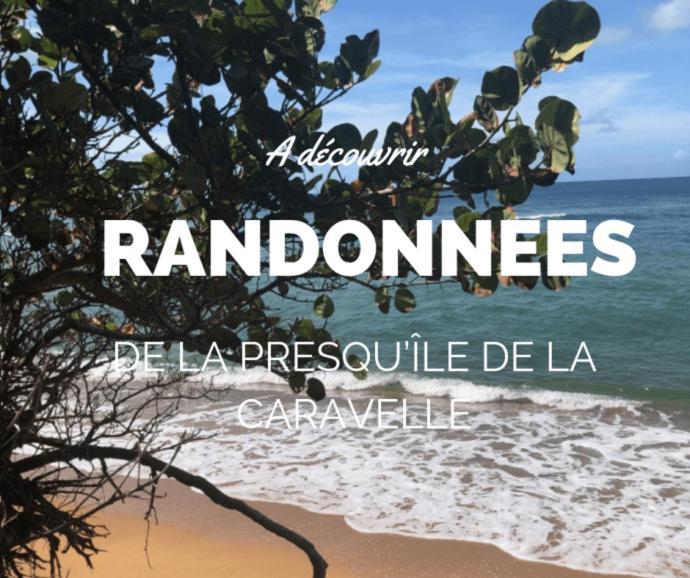 Ananas Premium Aparthotel
