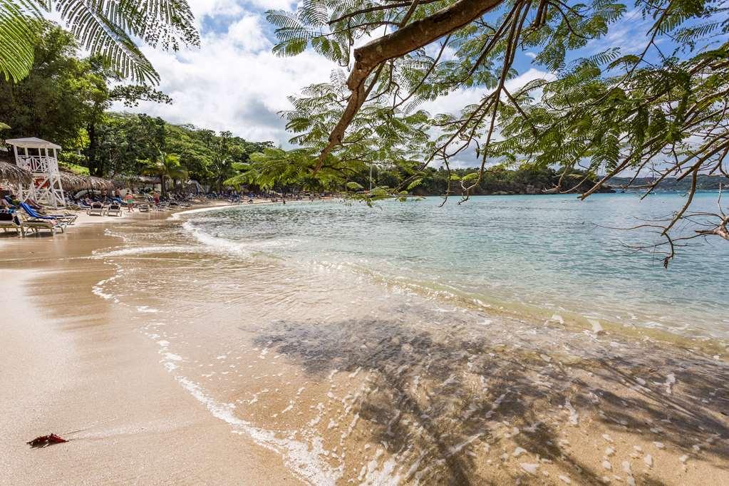Hotel Grand Palladium Jamaica, & Montego Bay