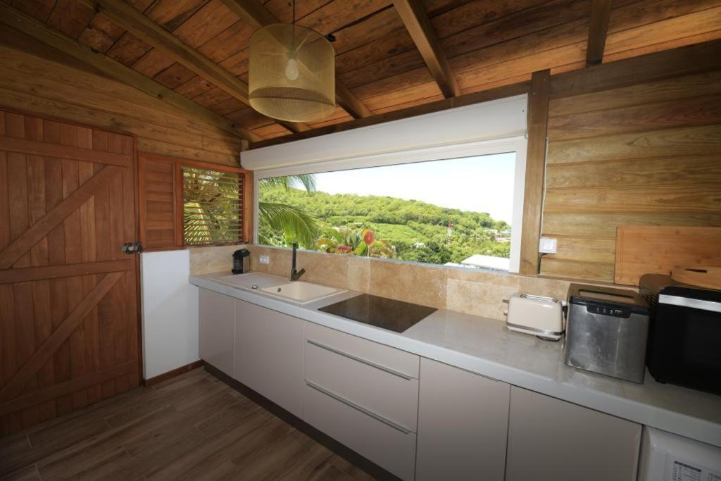 Cocotier, Elegant T3 Avec Jardin Tropical Sainte-Anne