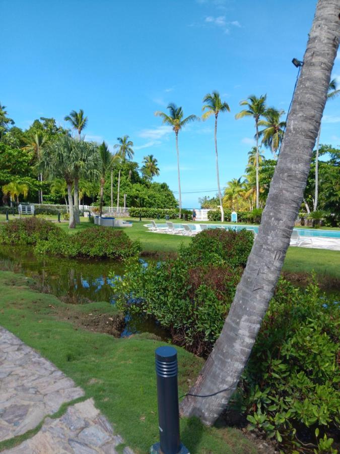 Newly Renovated Seaside Oasis At Bonita Village Las Terrenas