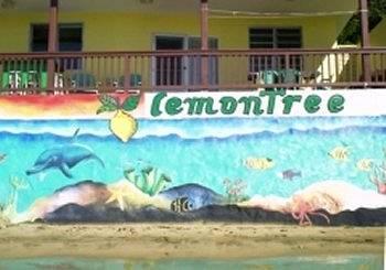 Hotel Lemontree Oceanfront Cottages