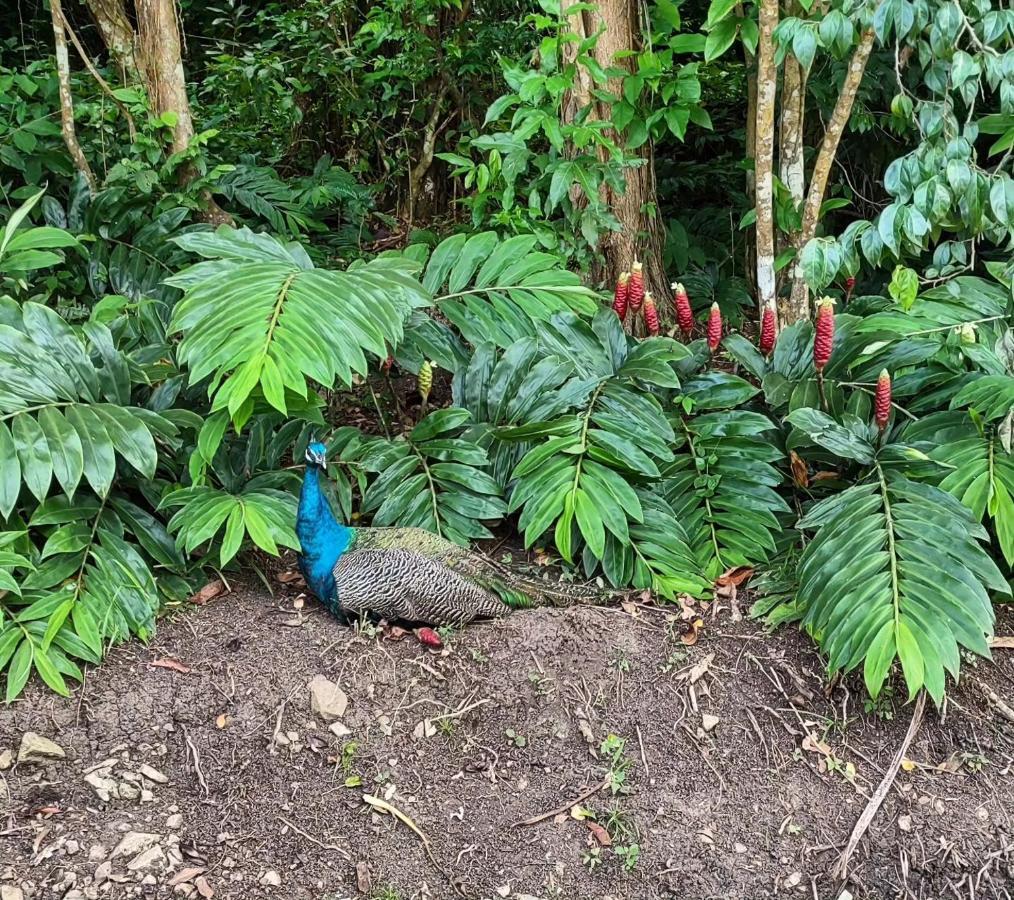 Acomodação com café da manhã  Tierra Adentro *