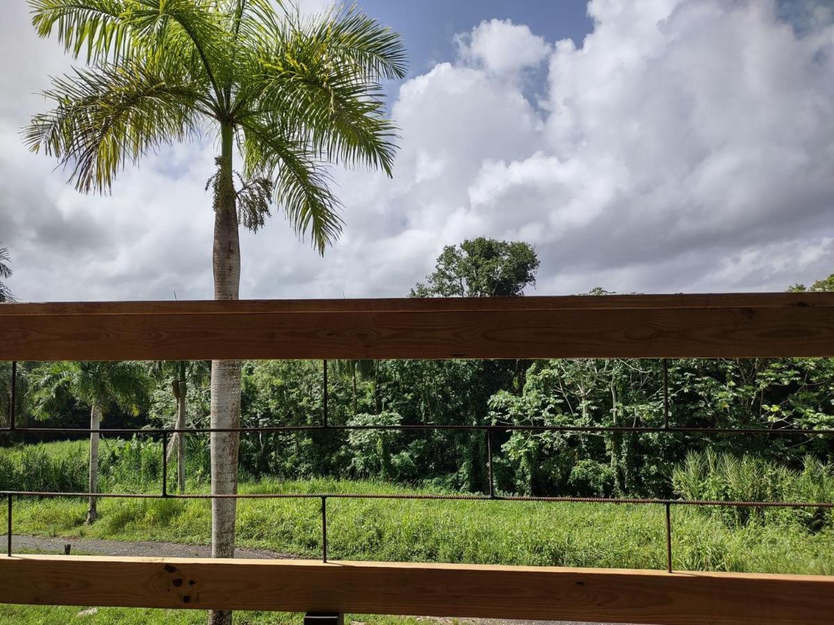 Tierra Adentro * Naguabo