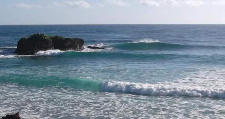 Resort La Familia And Natural Farm