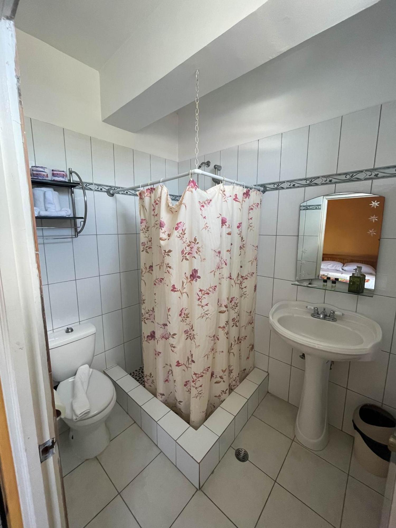 Guest house La Flamboyant Roseau
