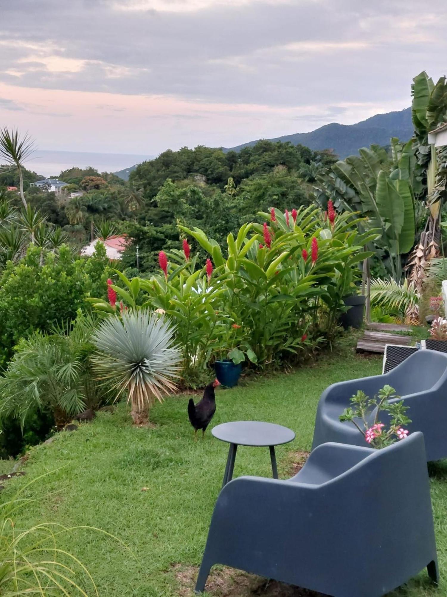 Holiday home Le Bananier Rouge *