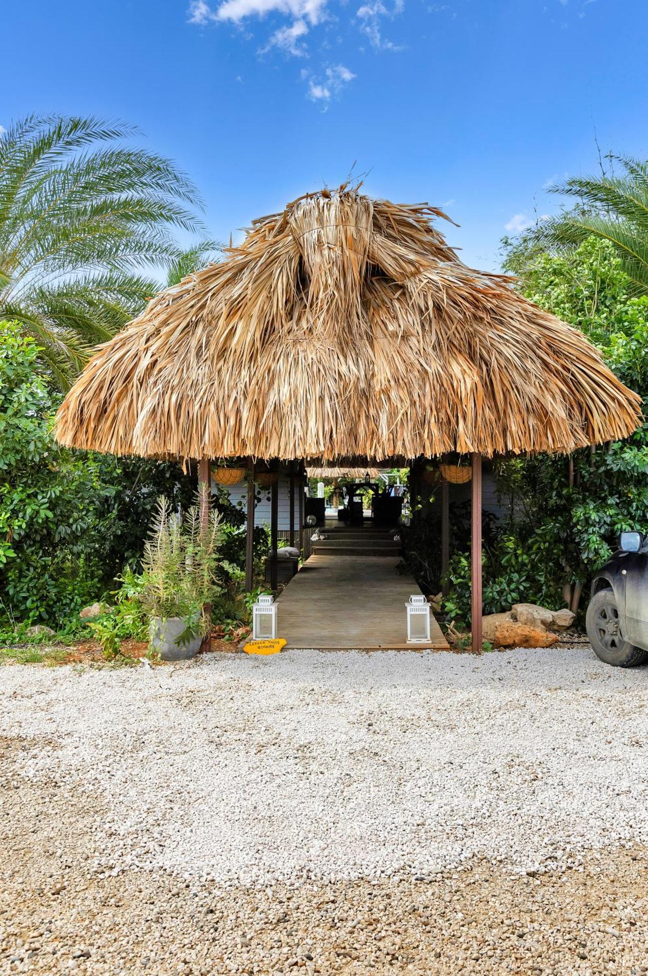 Red Palm Village 3* Playa