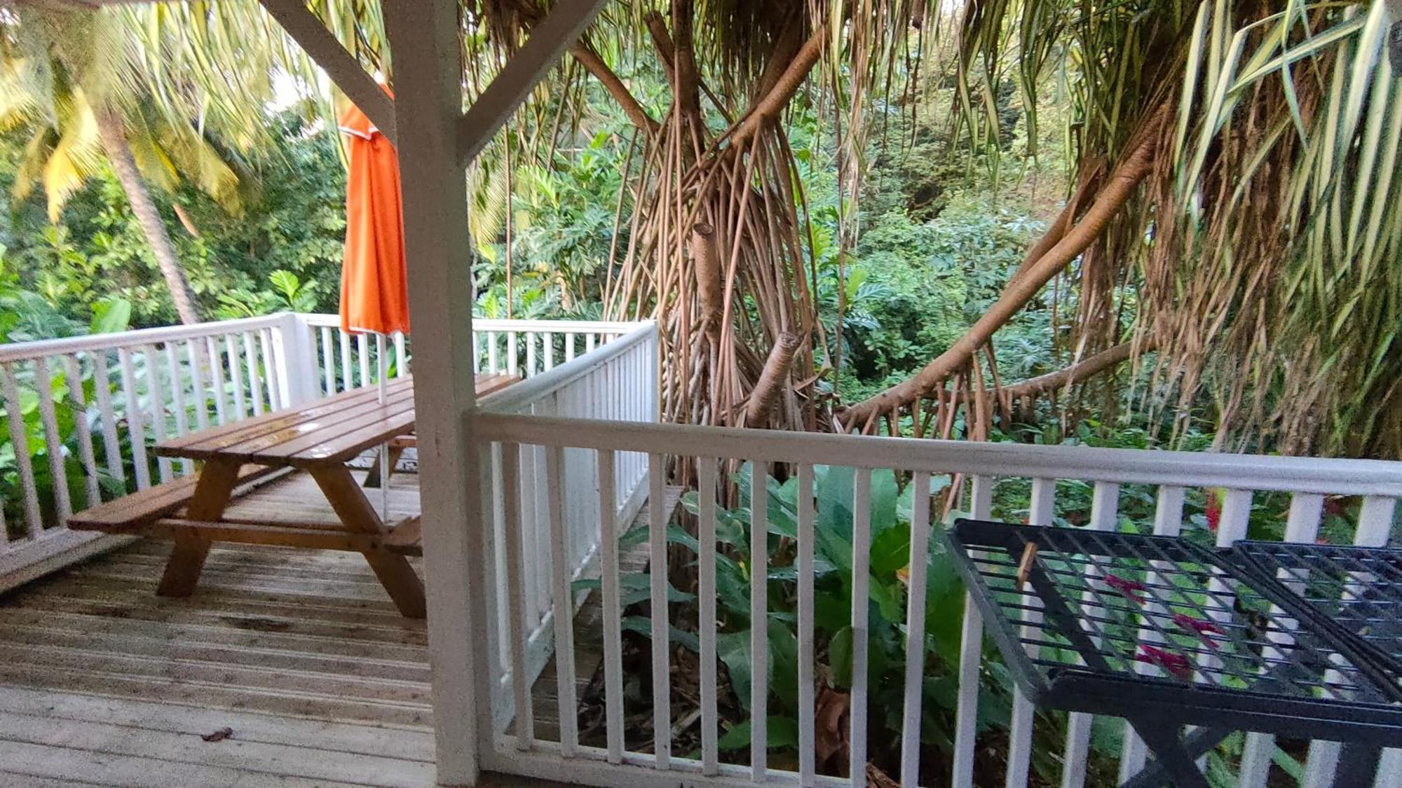 Casa de férias Au Vieux Manguier *