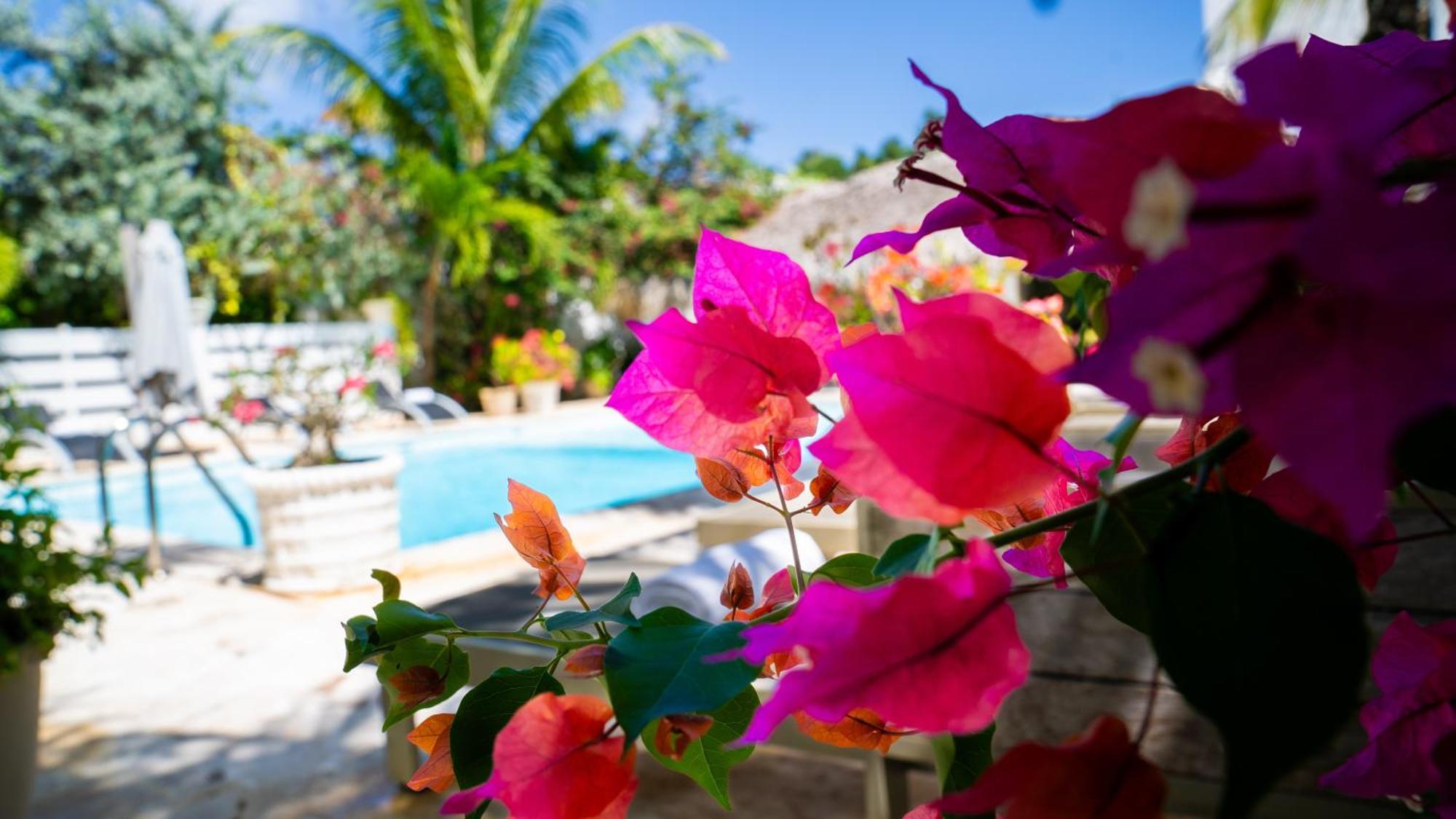 Hotel Boutique Flores Punta Cana