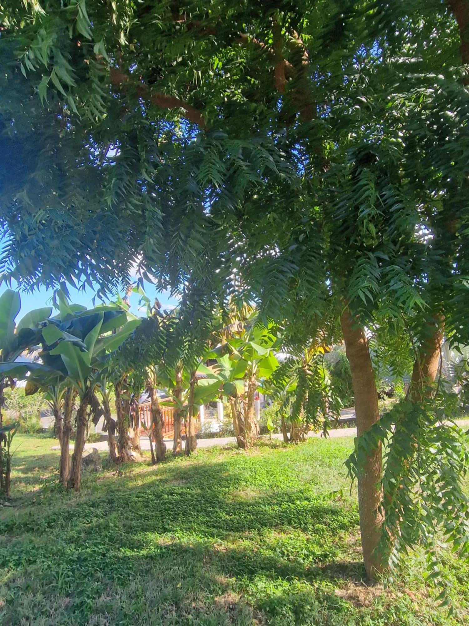 Villa Les De Boisvin Le Moule