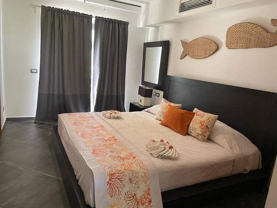 Peaceful And Lovely Apartment! Front Apartment