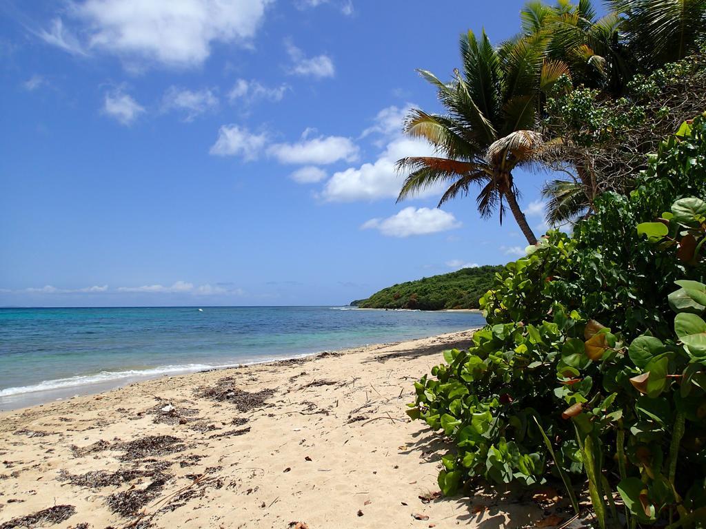Ababor Suites Aparthotel Vieques