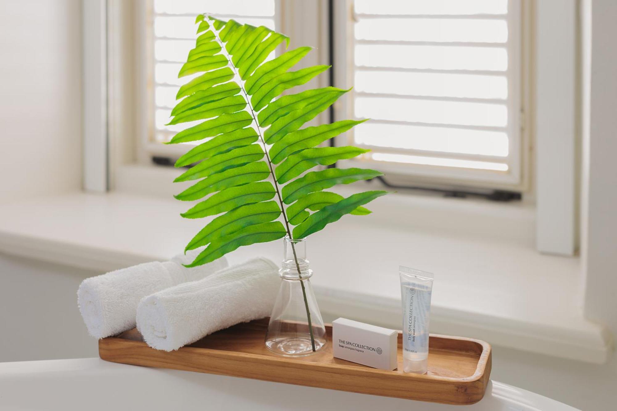 Kura Botanica