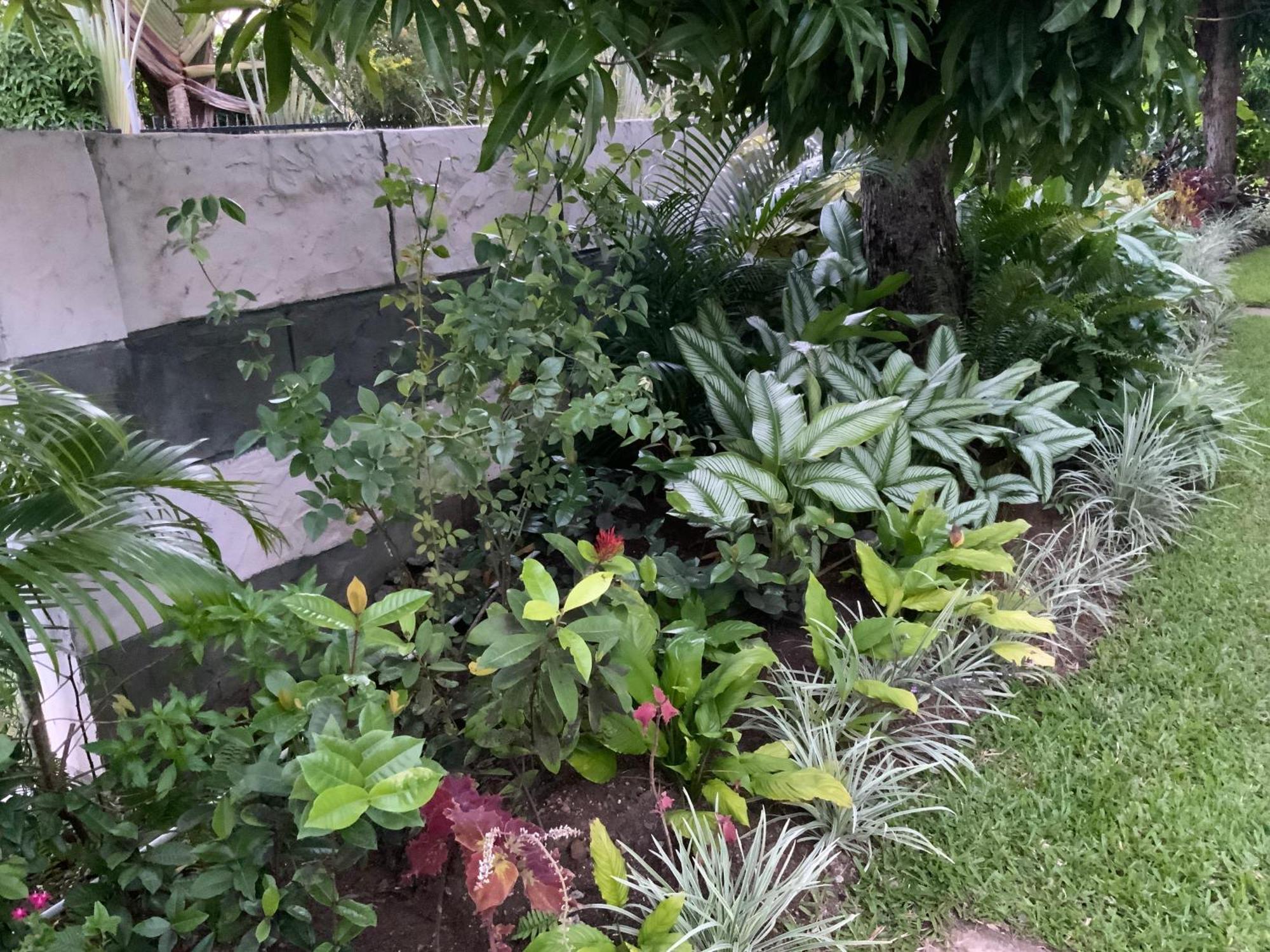 Marvey's Place Castries