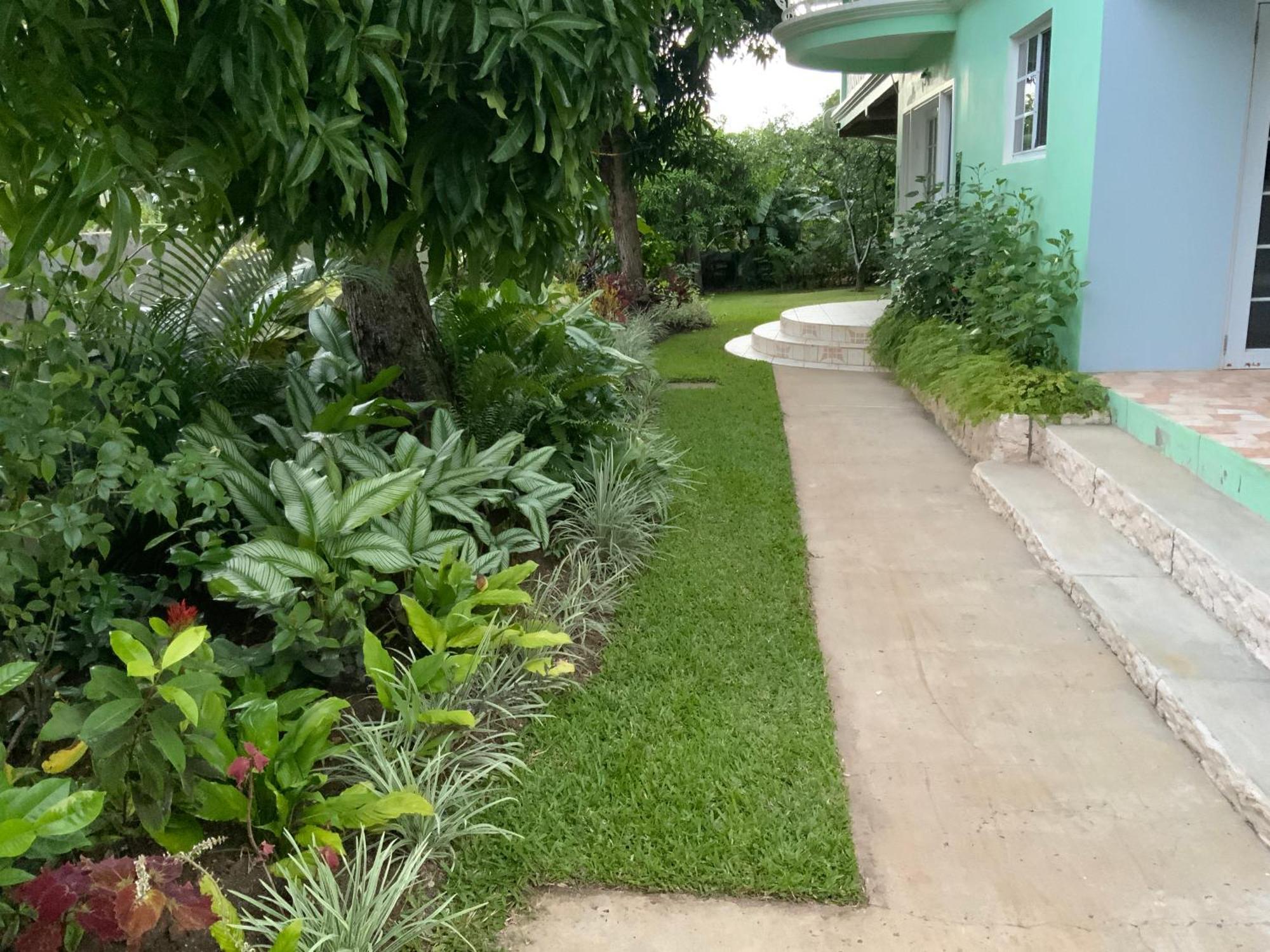 Marvey's Place Castries