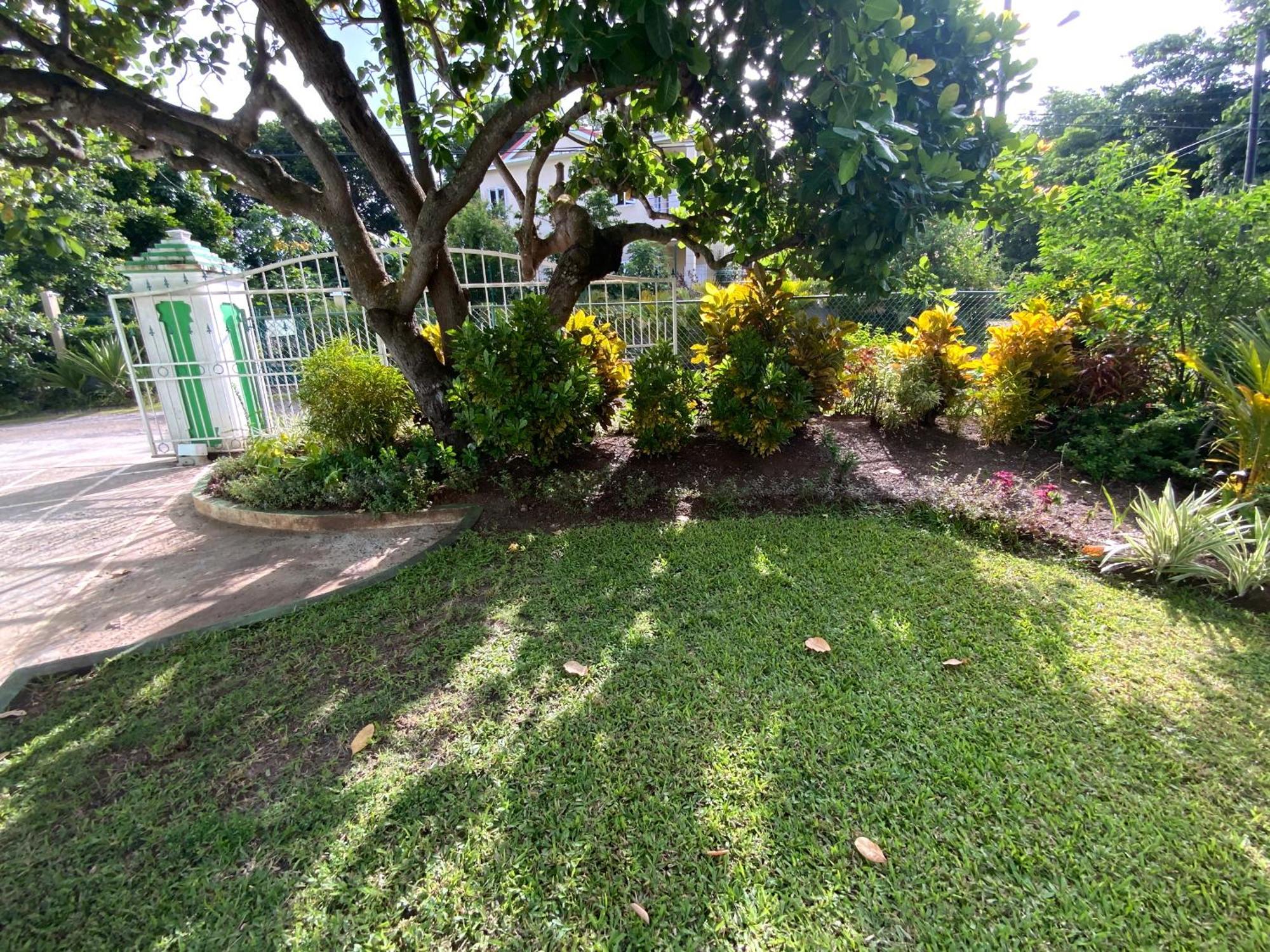 Marvey's Place Castries