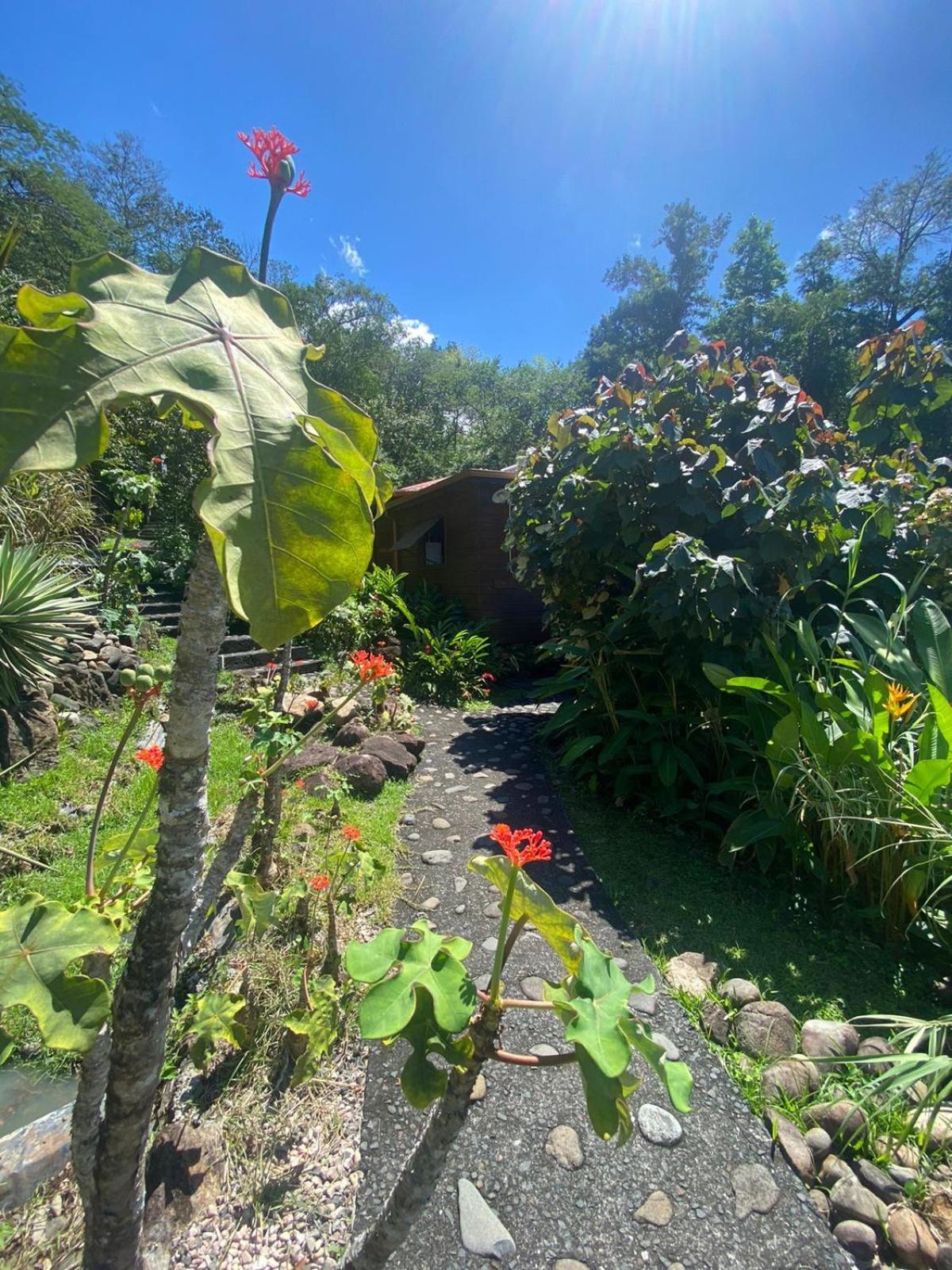 Le Domaine Du Rocher Noir