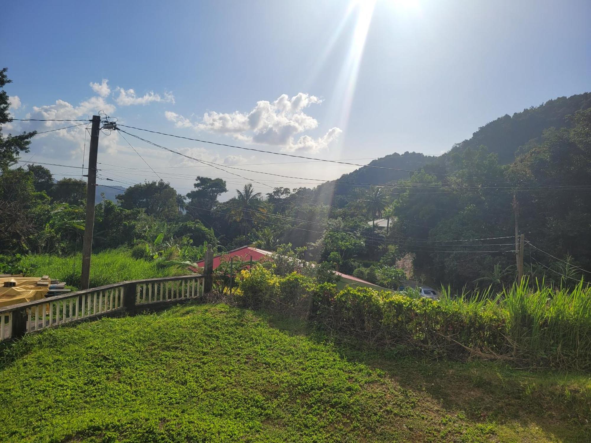 Tim's & Mag's Homestay *