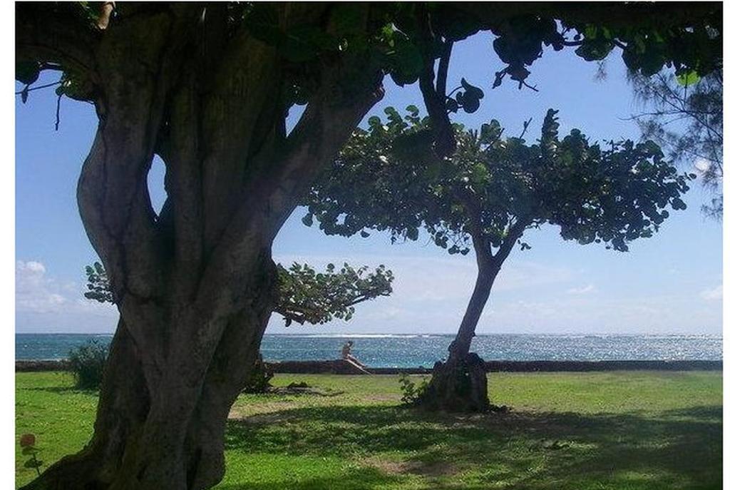 Apartamento Corail Sainte-Anne (Grande-Terre)