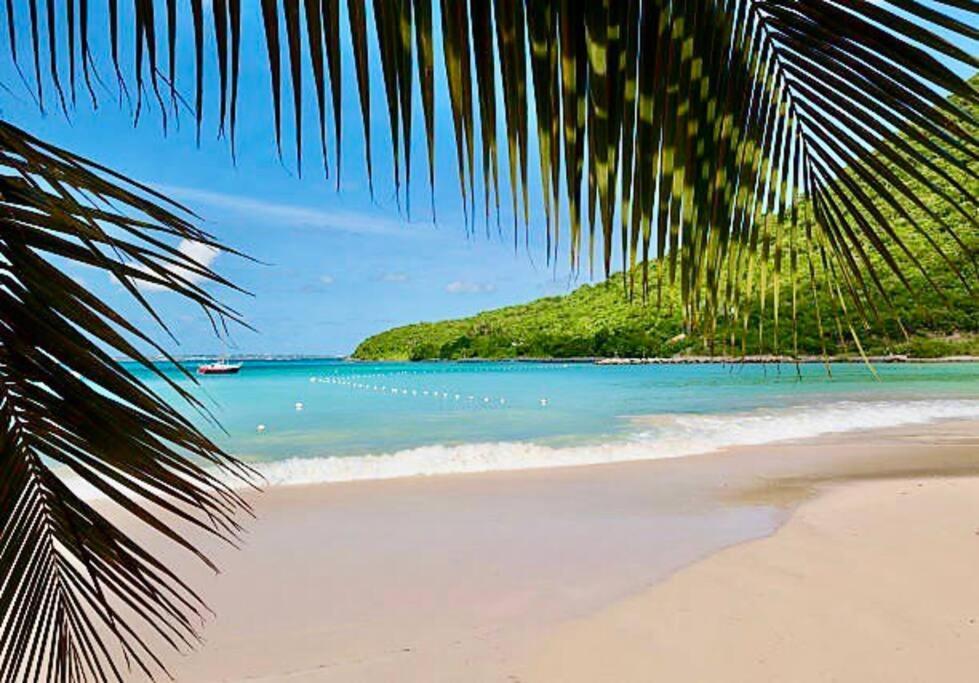 :paradise Apartment Anse Marcel