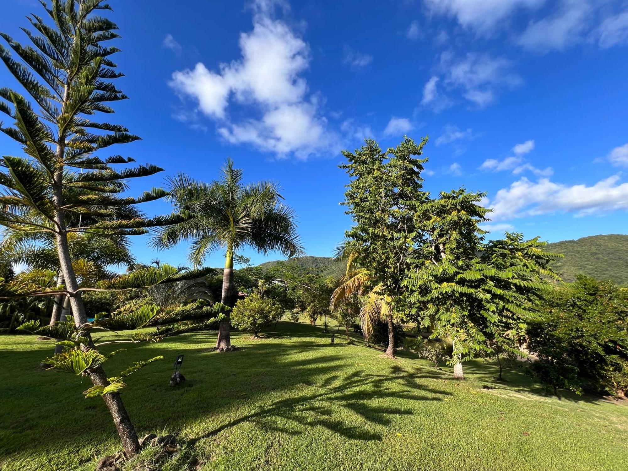 Ladilafe Holiday home