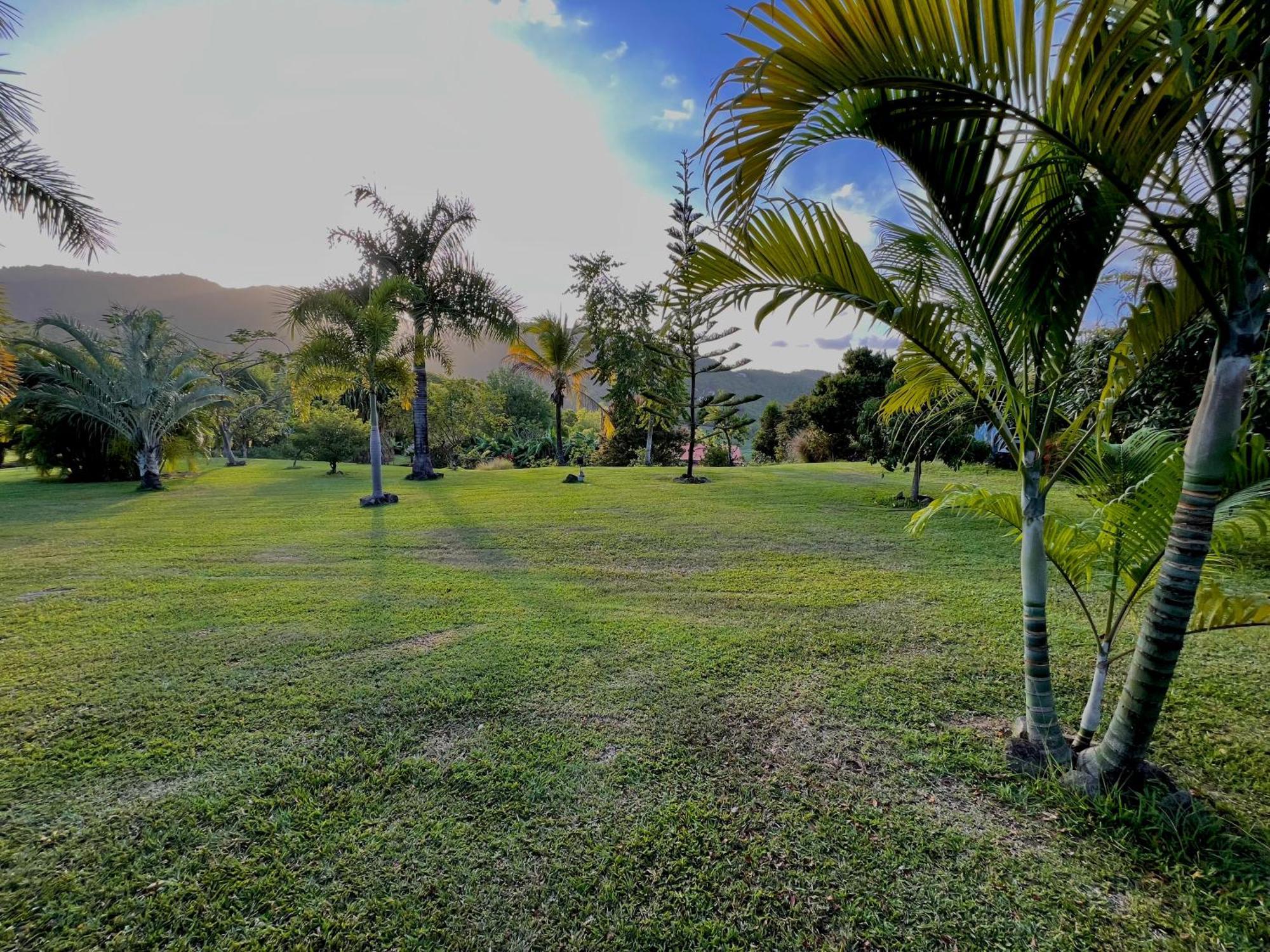 Ladilafe Holiday home