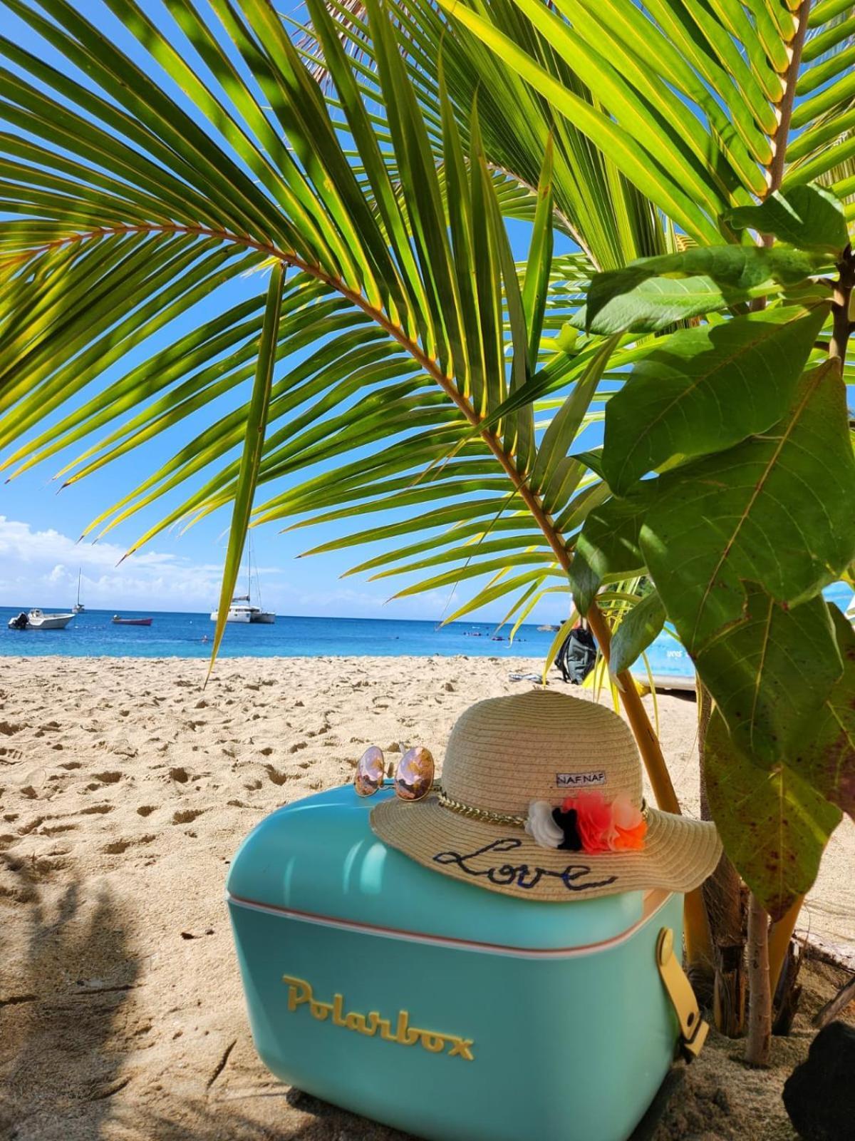 Caraibes 1 - Superbe Cosy Les Trois-Ilets