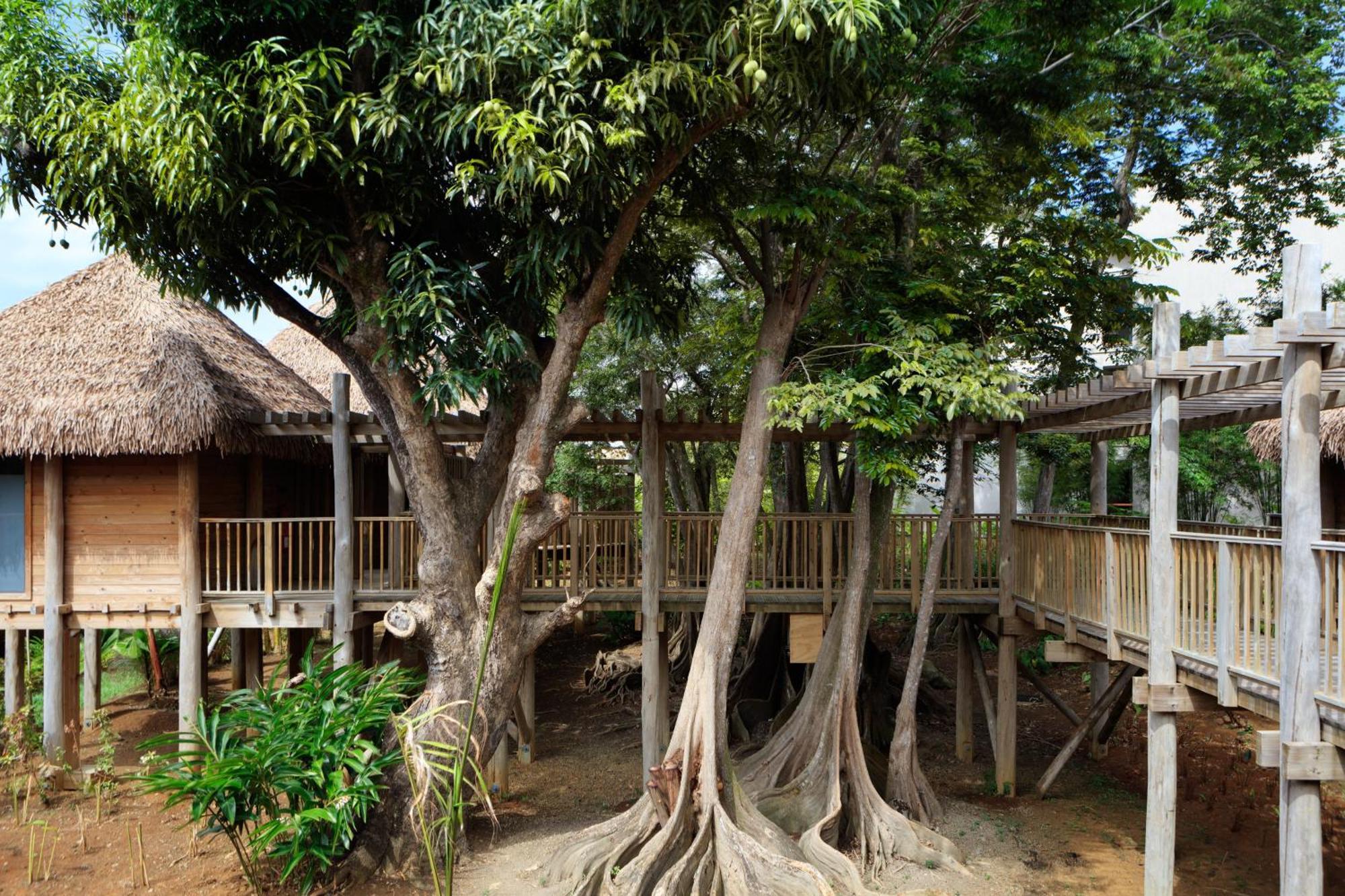 Intercontinental Dominica Cabrits & By Ihg Hotel