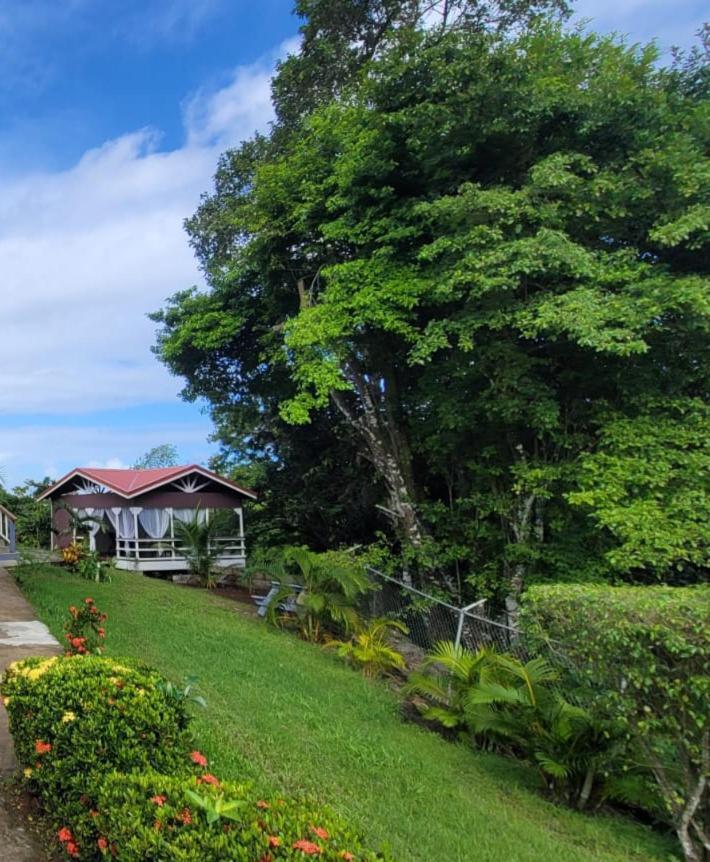 Guest house Royal Escape - 1