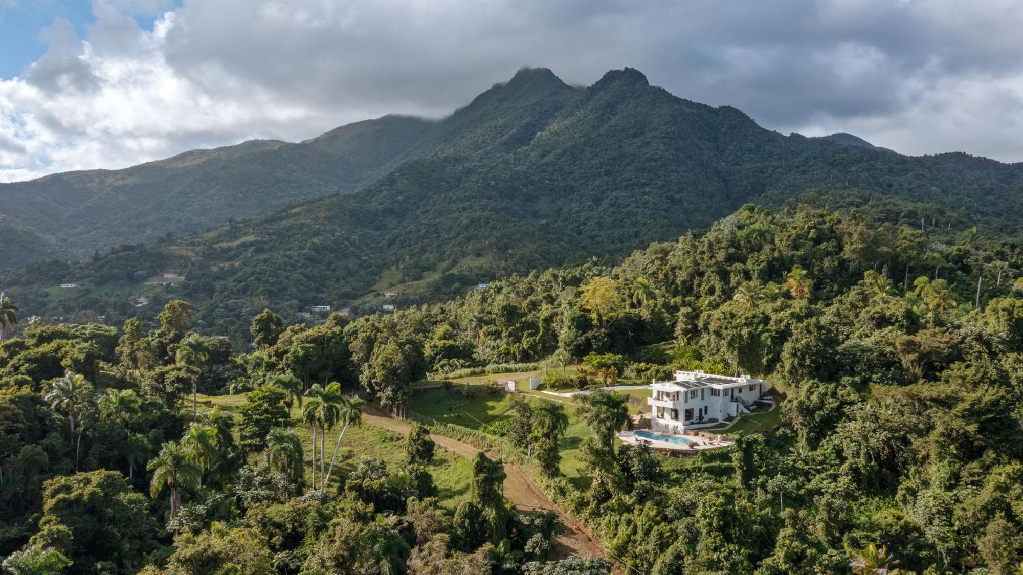 Villa Wald Haus By Dw Naguabo
