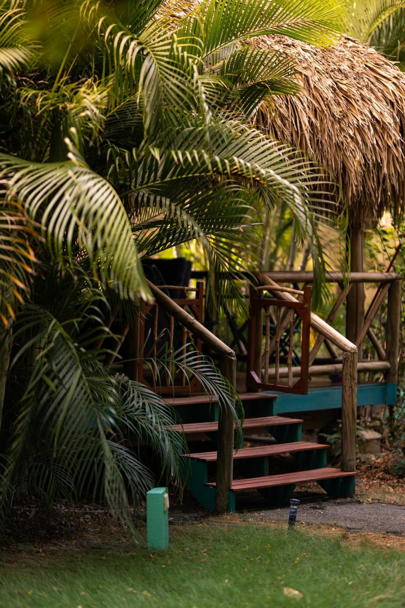 Mondi Lodge Dorp Sint Michiel