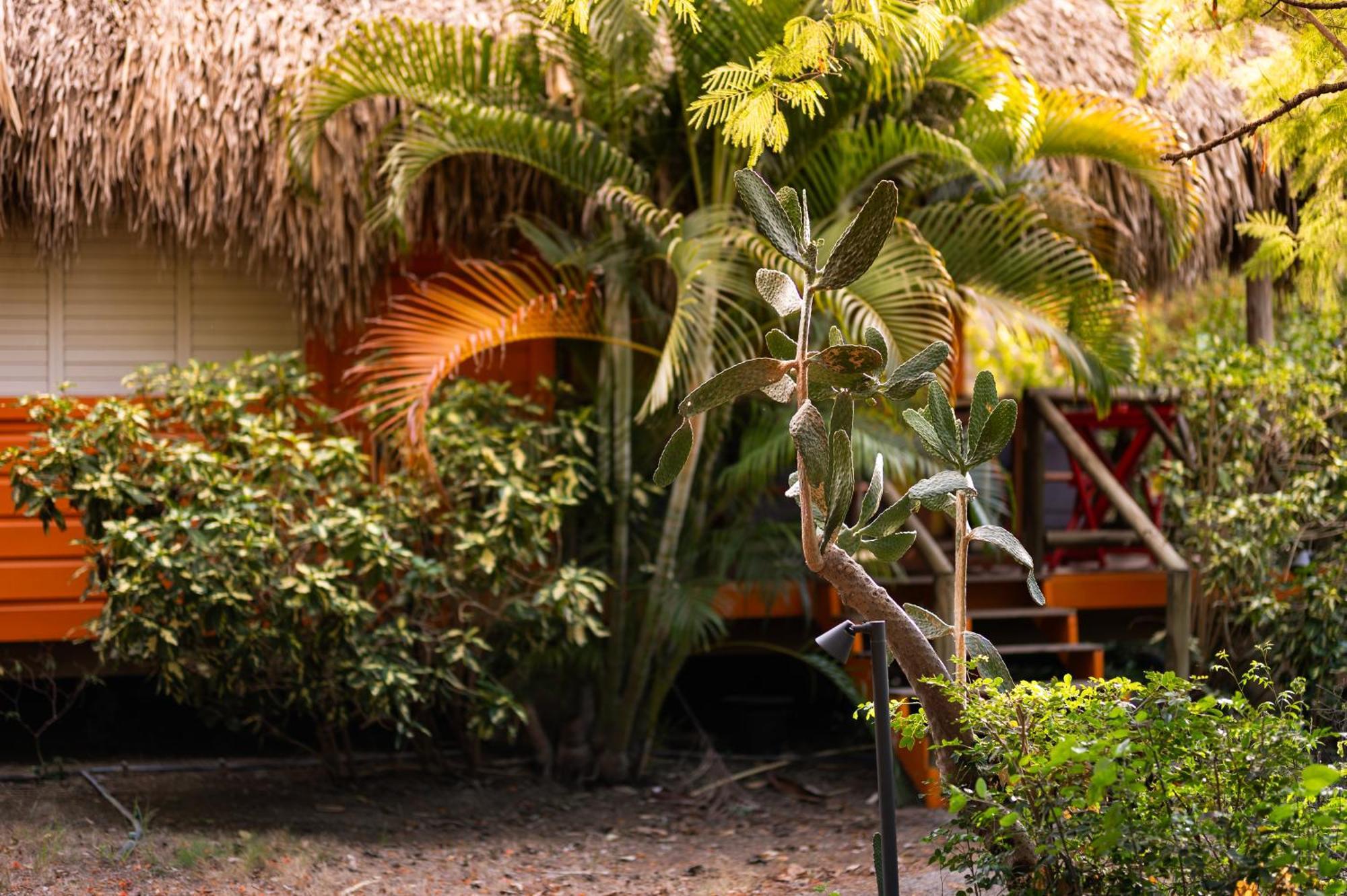 Lodge Mondi Dorp Sint Michiel