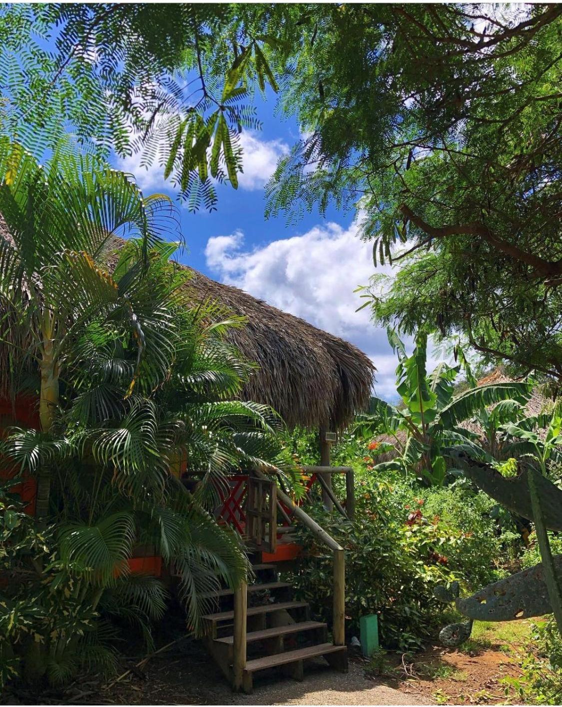 Mondi Lodge *