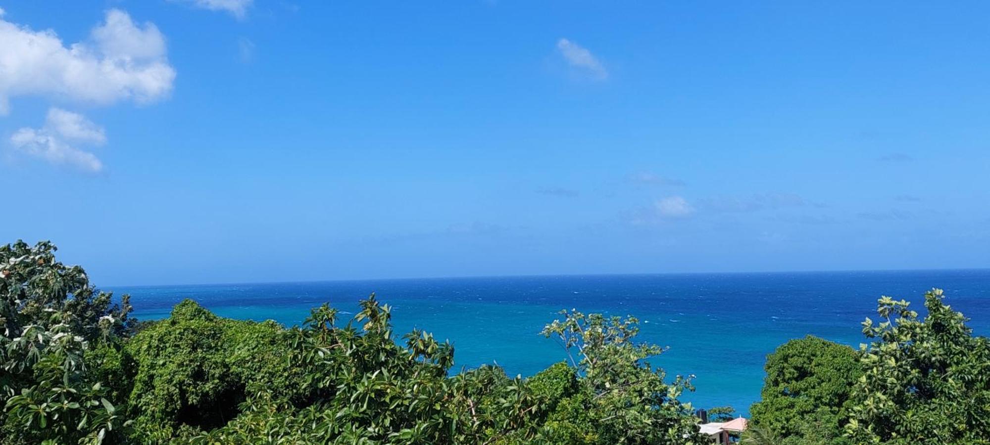 Alex's Place - Tim Pappies Port Antonio