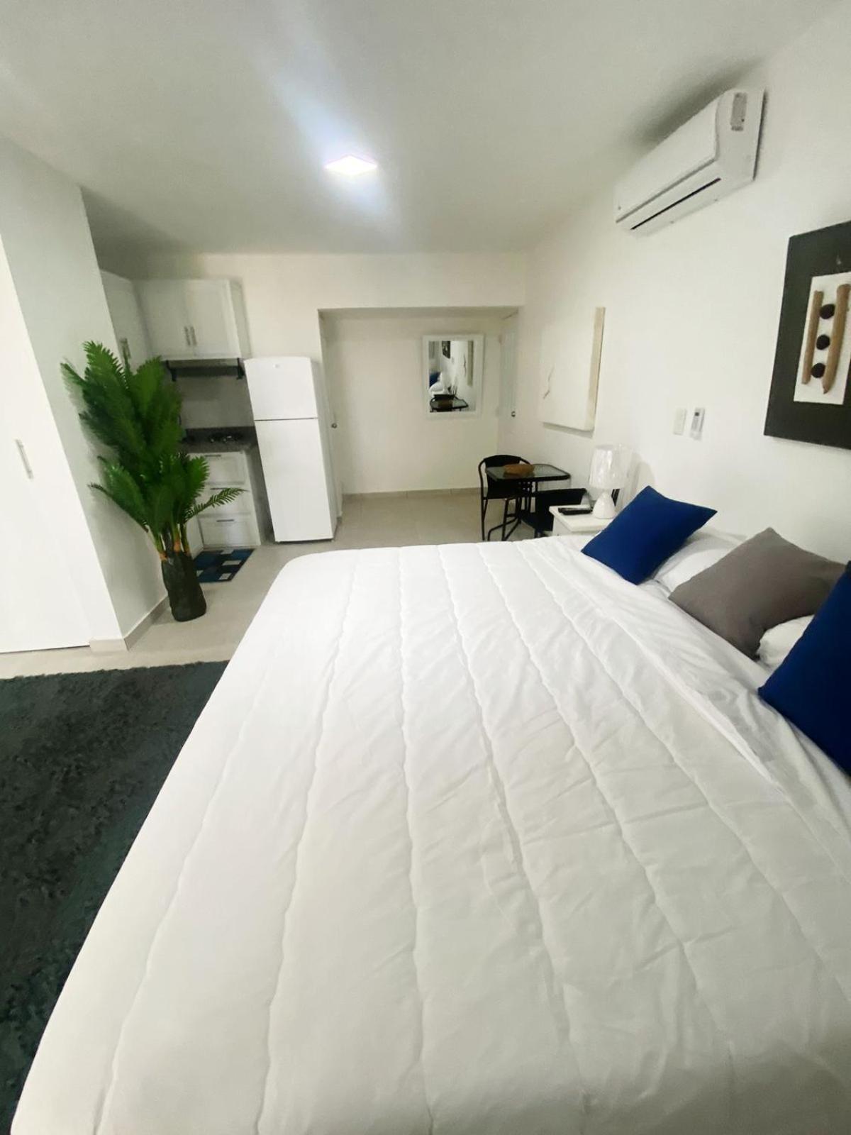 Apartment Kite &