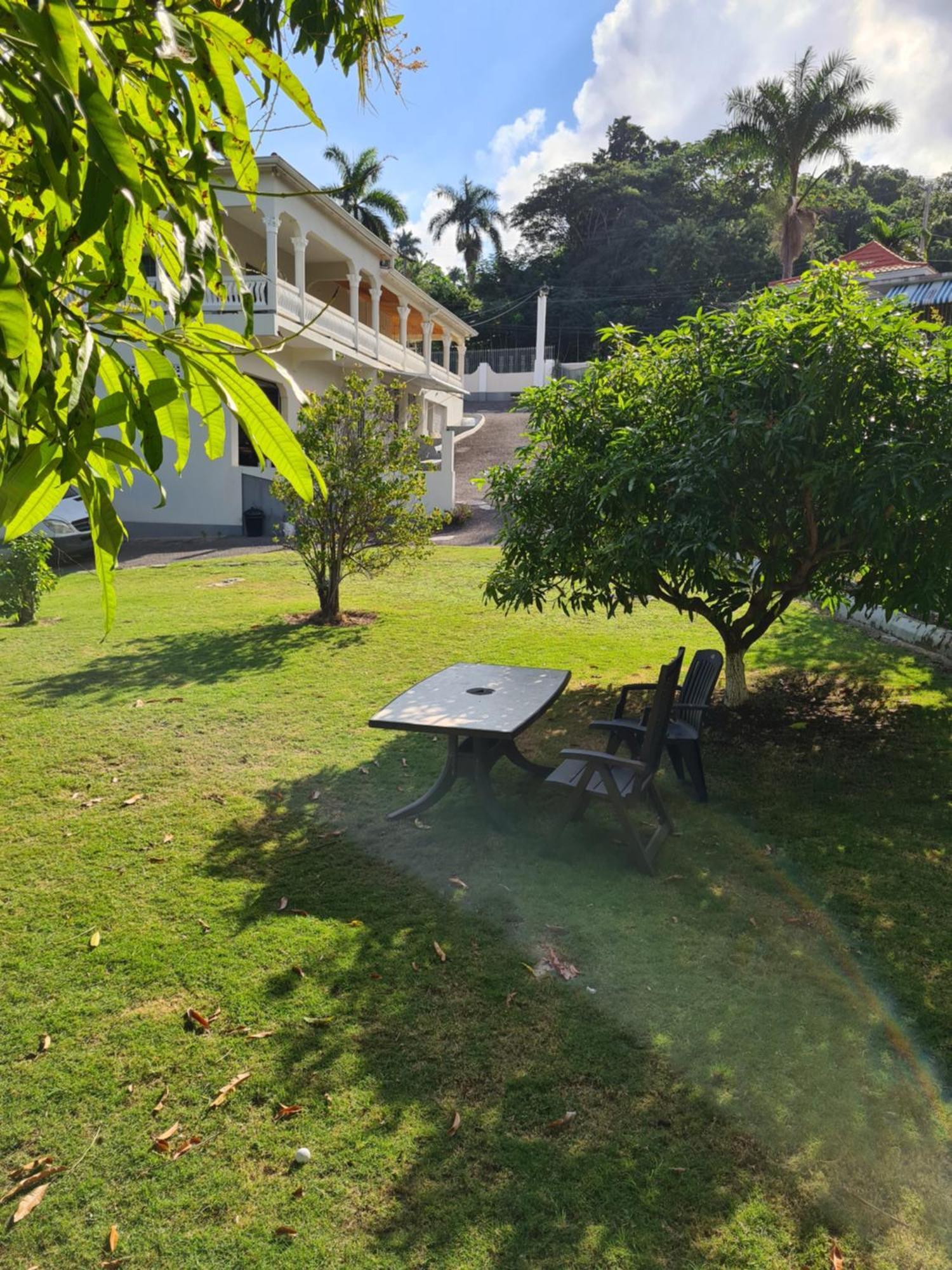 Apartment Rose View Montego Bay