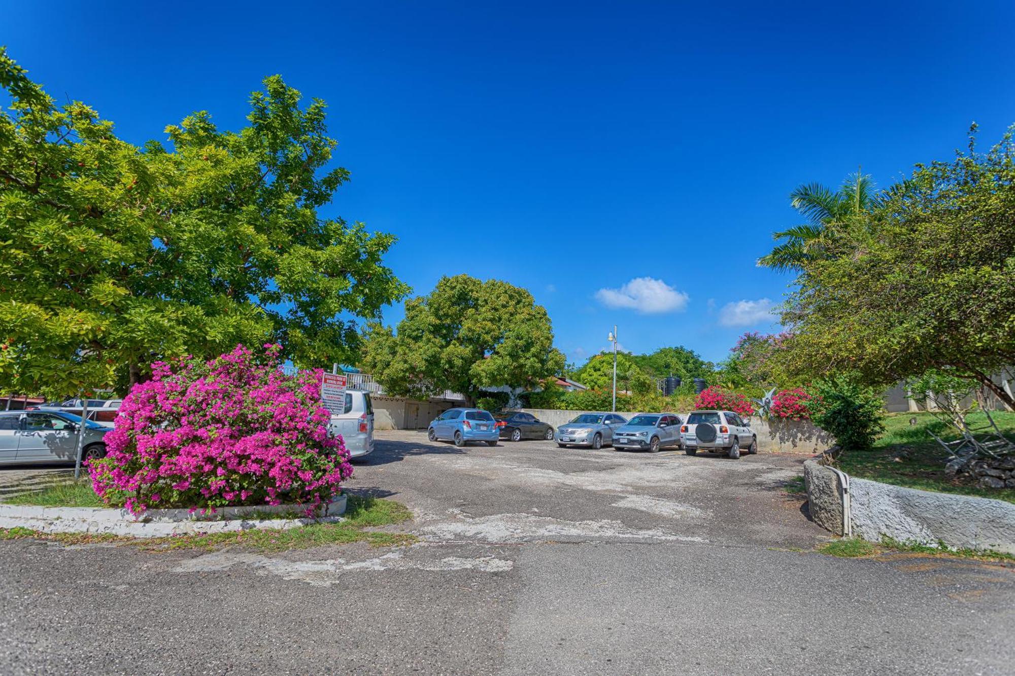 Montego Bay Club Apartments * Montego Bay