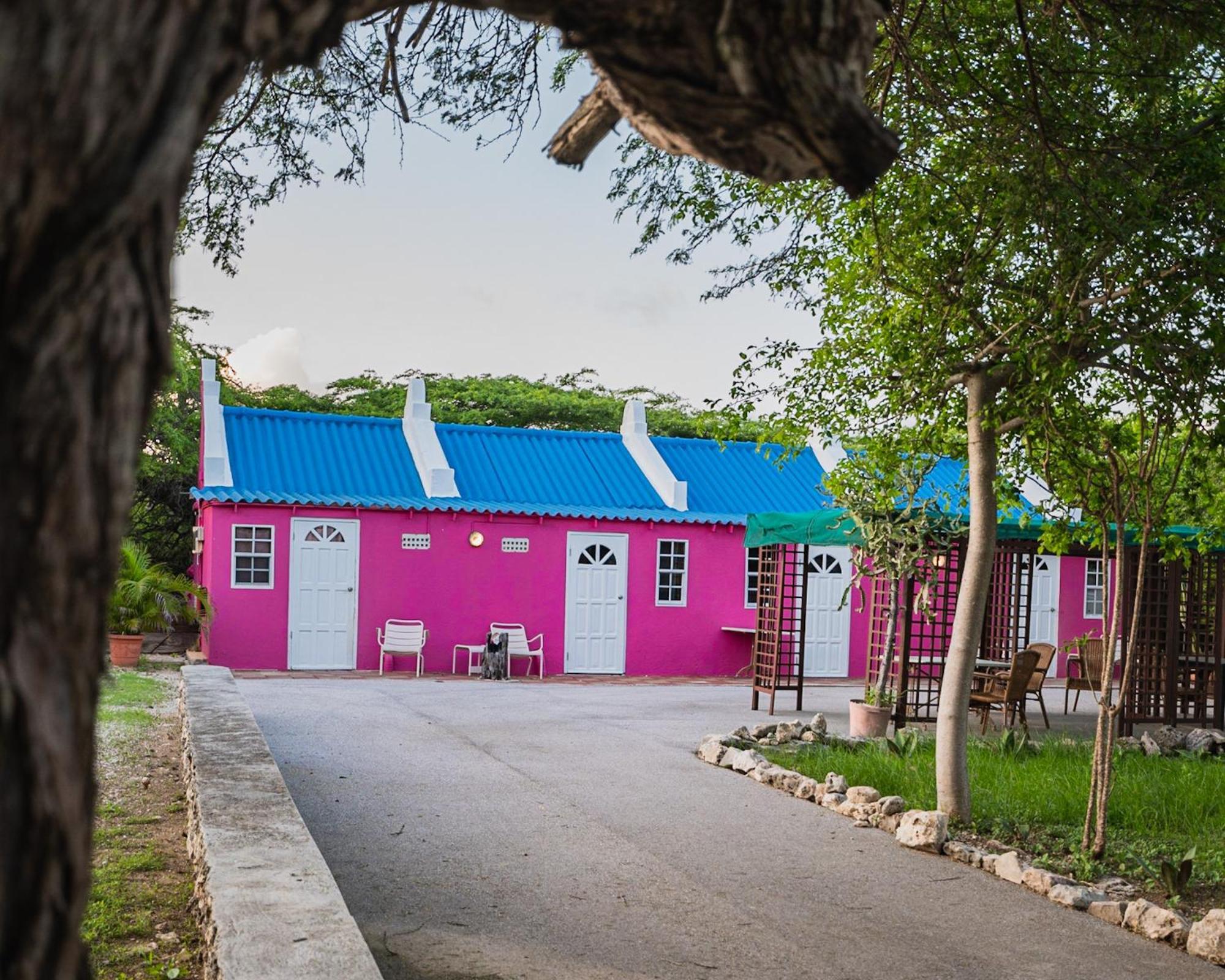 Hotel Daniel - Plantation House 3*